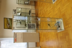 resize-3
