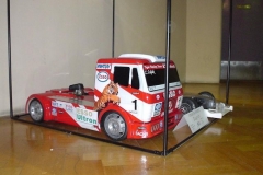 phoca_thumb_l_dsc014478tt